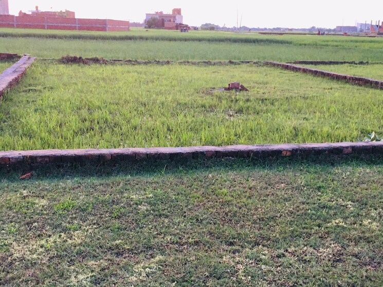 undefined, ramnagar  1263 Sq.Ft. Plot In Ramnagar Varanasi 9521028