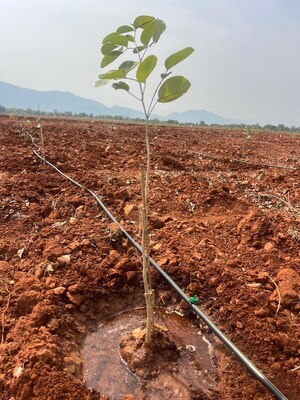  Land For Sale in Venkatrajupalem