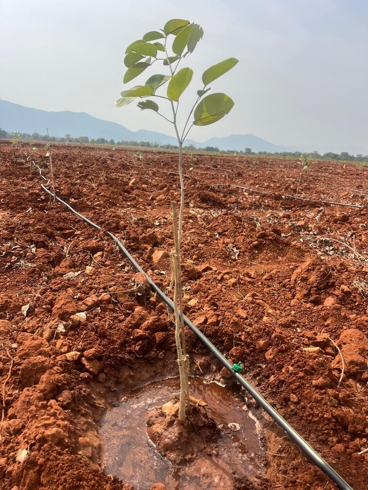 Cover Image, venkatrajupalem Commercial Land 2420 Sq.Yd. In Venkatrajupalem Ongole 9521034