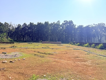 Plot Area in  Plot at Sherpur – for Sale