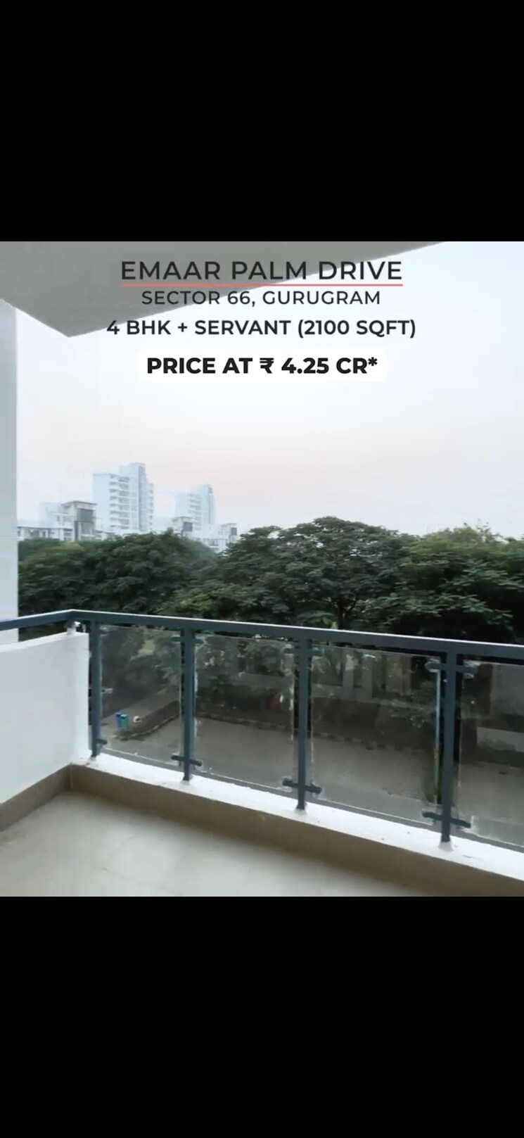 Swimming Pool, emaar-the-palm-drive-palm-studios 3 Bedroom 2100 Sq.Ft. Apartment In Sector 66 Gurgaon 9521559