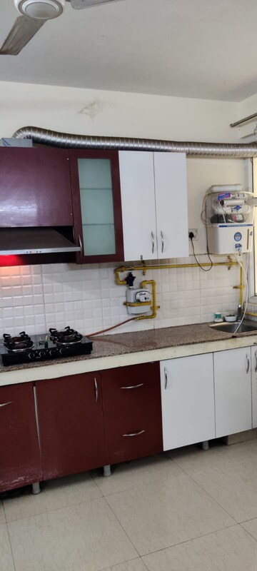 Kitchen in 2 BHK Apartment at Tulip Lemon, Sector 69 – for Rent