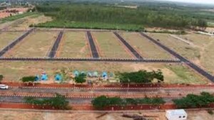 Plot Area in  Plot at Dankaur – for Sale