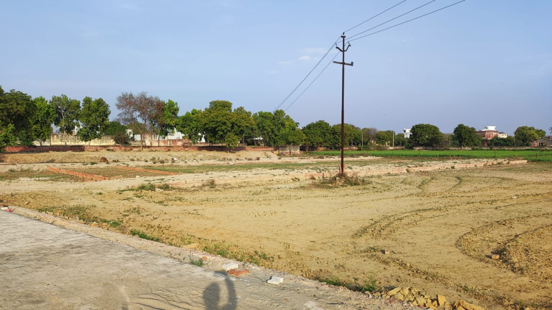 Plot For Sale in Dankaur