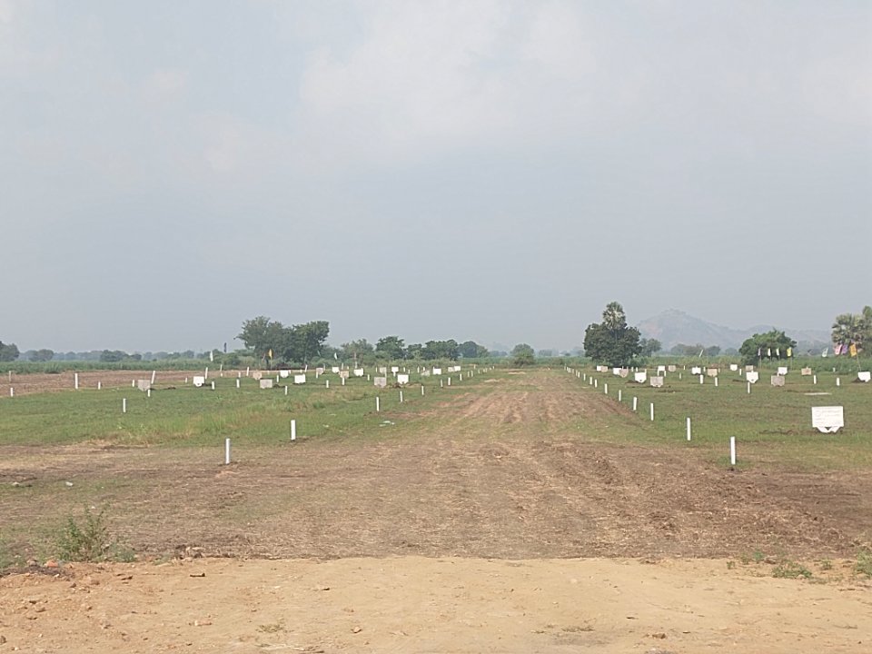 Plot For Sale in Jonnalagadda