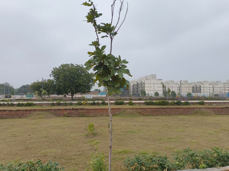 Garden, rof-normanton-park  150 Sq.Yd. Plot In Sohna Sector 36 Gurgaon 9521812
