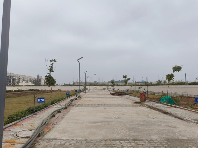 Swimming Pool, rof-normanton-park  150 Sq.Yd. Plot In Sohna Sector 36 Gurgaon 9521812