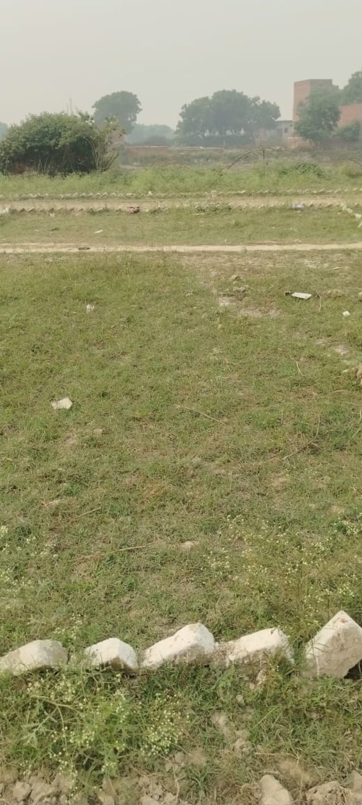 Garden, sk-the-grand-city  1575 Sq.Ft. Plot In Jewar Greater Noida 9521827