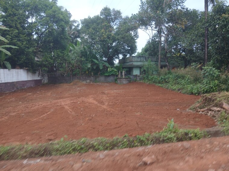 undefined, ollur  4792 Sq.Ft. Plot In Ollur Thrissur 9521867