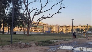 3 BHK Apartment For Sale in Signature Global City 93, Sector 93