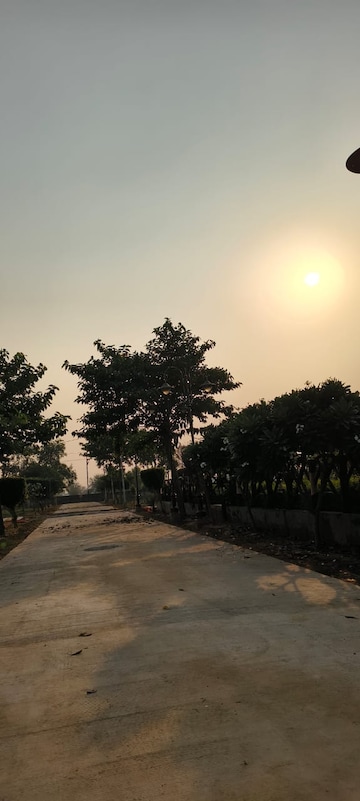 Plot Area in  Plot at Sujanpur – for Sale