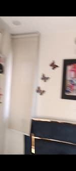 2 BHK 583 Sq.Ft. Apartment in Signature The Serenas