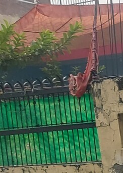 2 BHK Independent House For Sale in Alpha 2