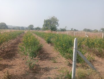  Land For Sale in Mominpet