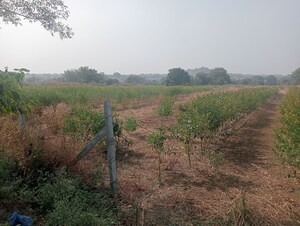 Plot Area in  Land at Mominpet – for Sale