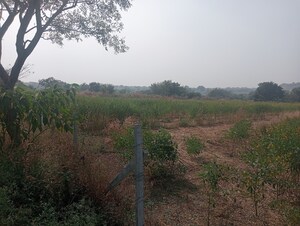 Plot Area in  Land at Mominpet – for Sale
