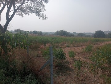 Plot Area in  Land at Mominpet – for Sale