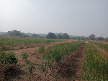 Plot Area in  Land at Mominpet – for Sale