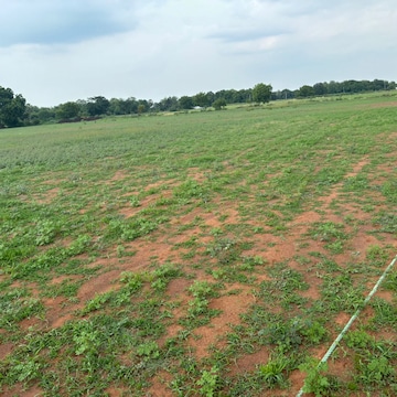  Plot – Garden View at Sri Bhumi Eeshaanya, Gosala - for Sale