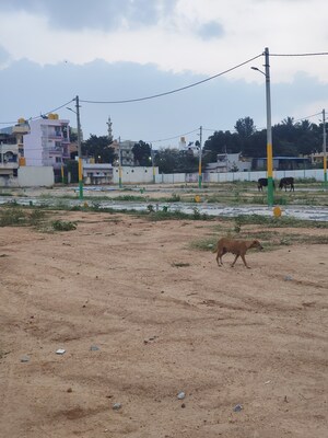 Plot Area in  Plot at Devanahalli – for Rent