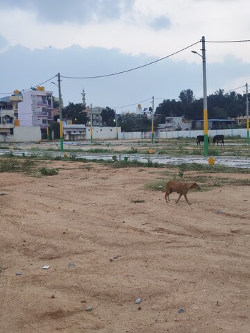 Plot Area in  Plot at Devanahalli – for Rent