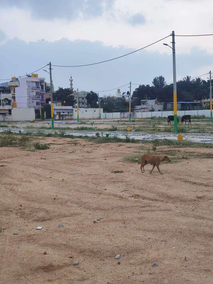 undefined, devanahalli  1200 Sq.Yd. Plot In Devanahalli Bangalore 9524415