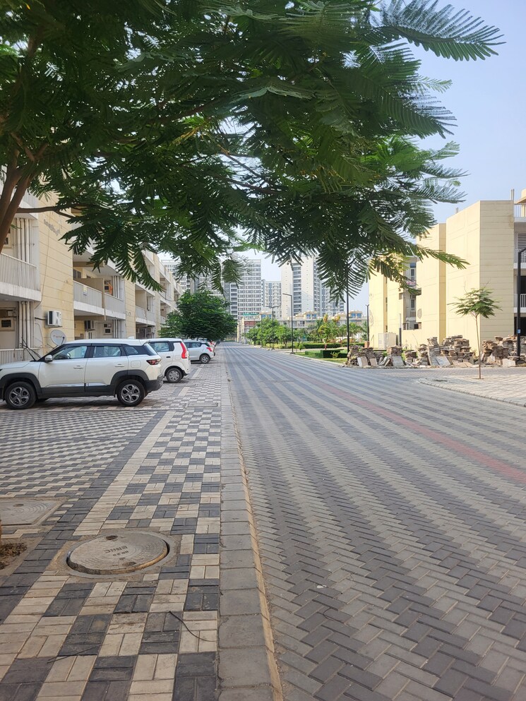 Exterior View, tdi-the-grand-retreat 3 Bedroom 216 Sq.Yd. Builder Floor In Sector 88 Faridabad 9525036