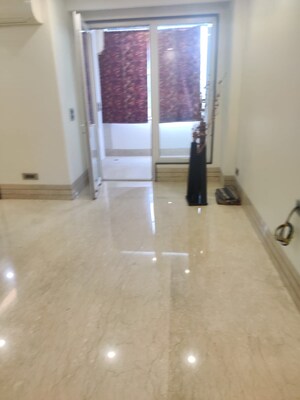 Living Room in 4 BHK Builder Floor at Green Park – for Rent