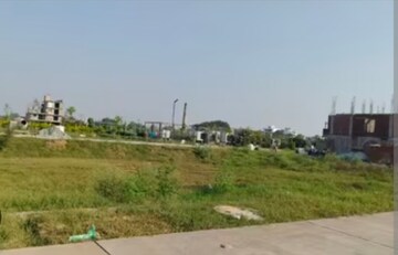  Plot For Sale in Sector 81