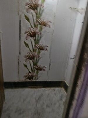 1 BHK Builder Floor For Rent in Neb Sarai