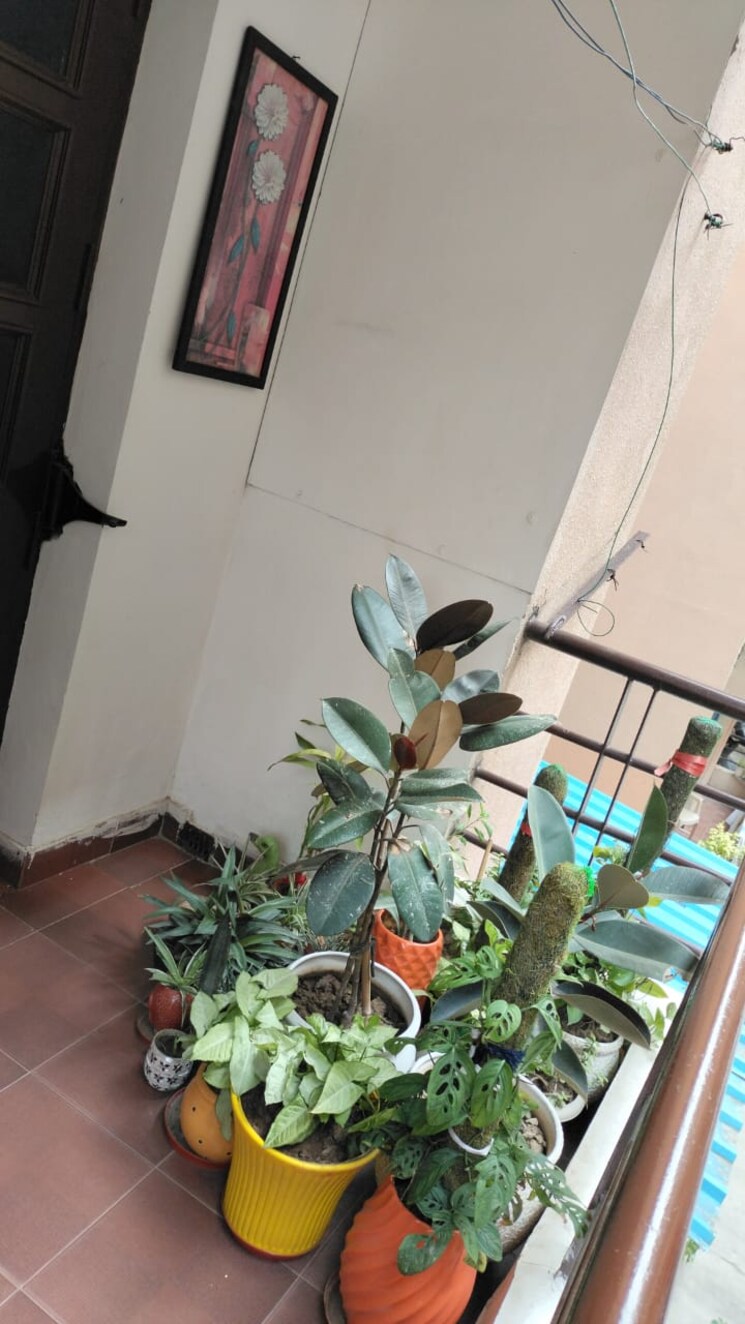 Balcony, jaipurias-sunrise-greens-zirakpur 2 Bedroom 1288 Sq.Ft. Apartment In Vip Road Zirakpur 9525828