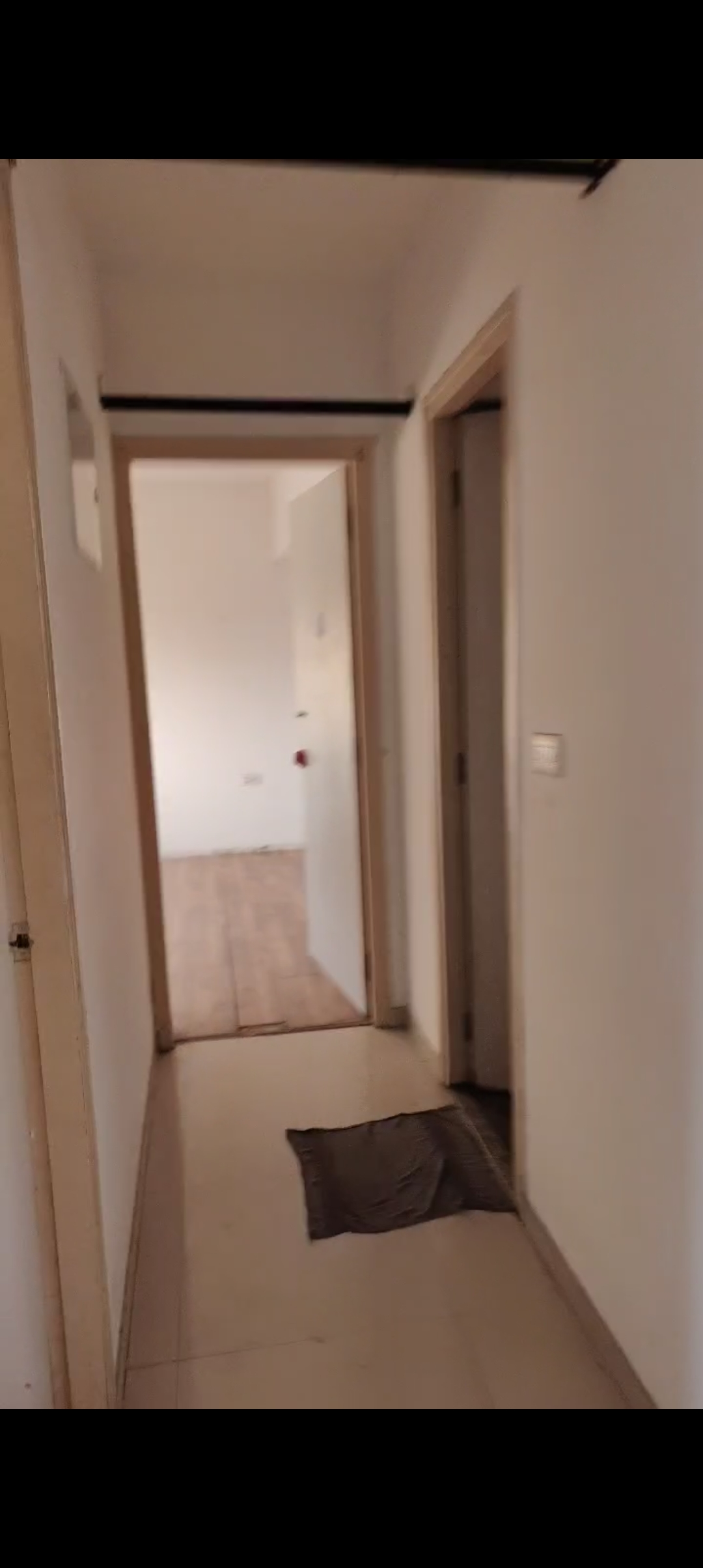 2 BHK Apartment For Rent in Casa Rio Pacifica