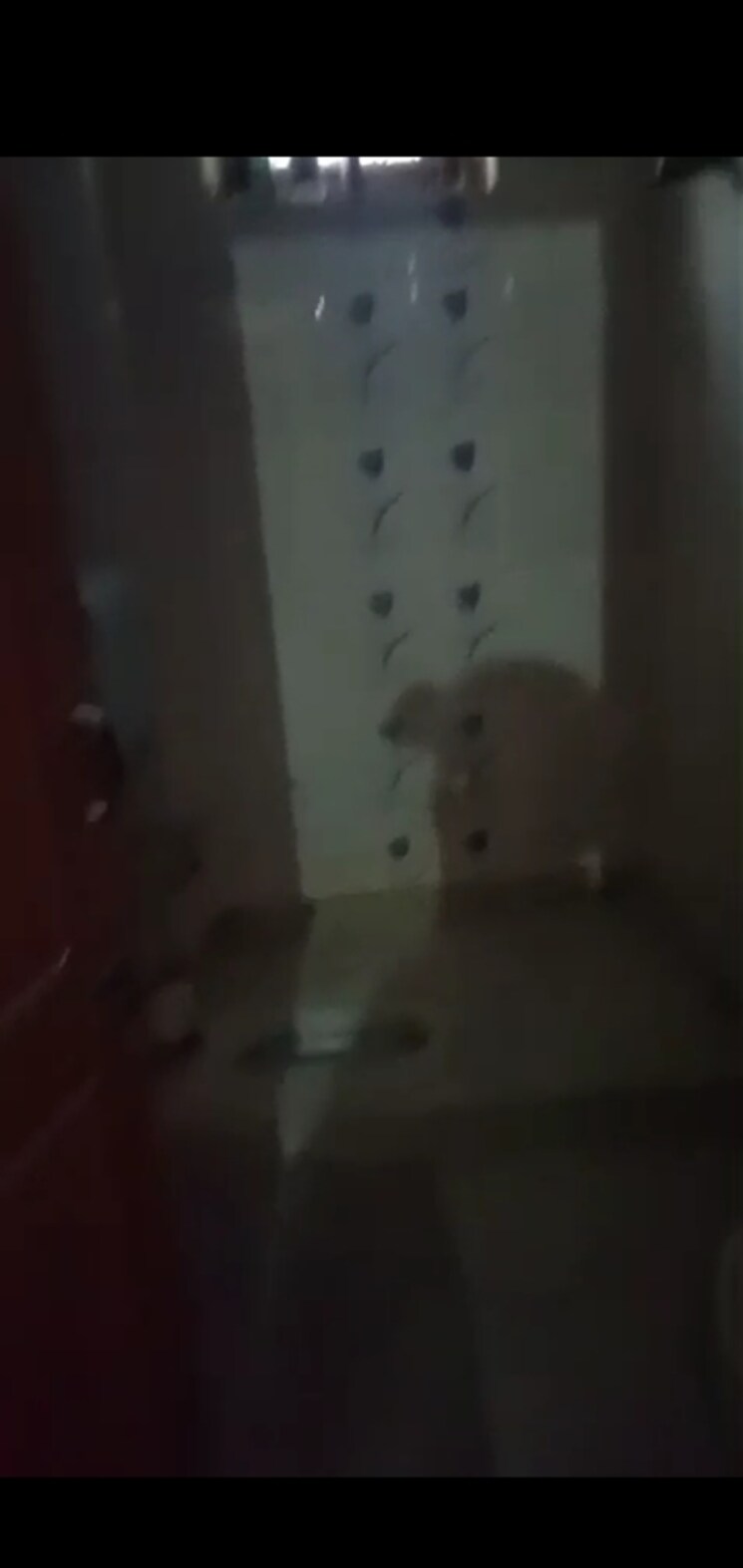 Master Bedroom, mahavir enclave 2 Bedroom 630 Sq.Ft. Builder Floor In Mahavir Enclave Delhi 9526690