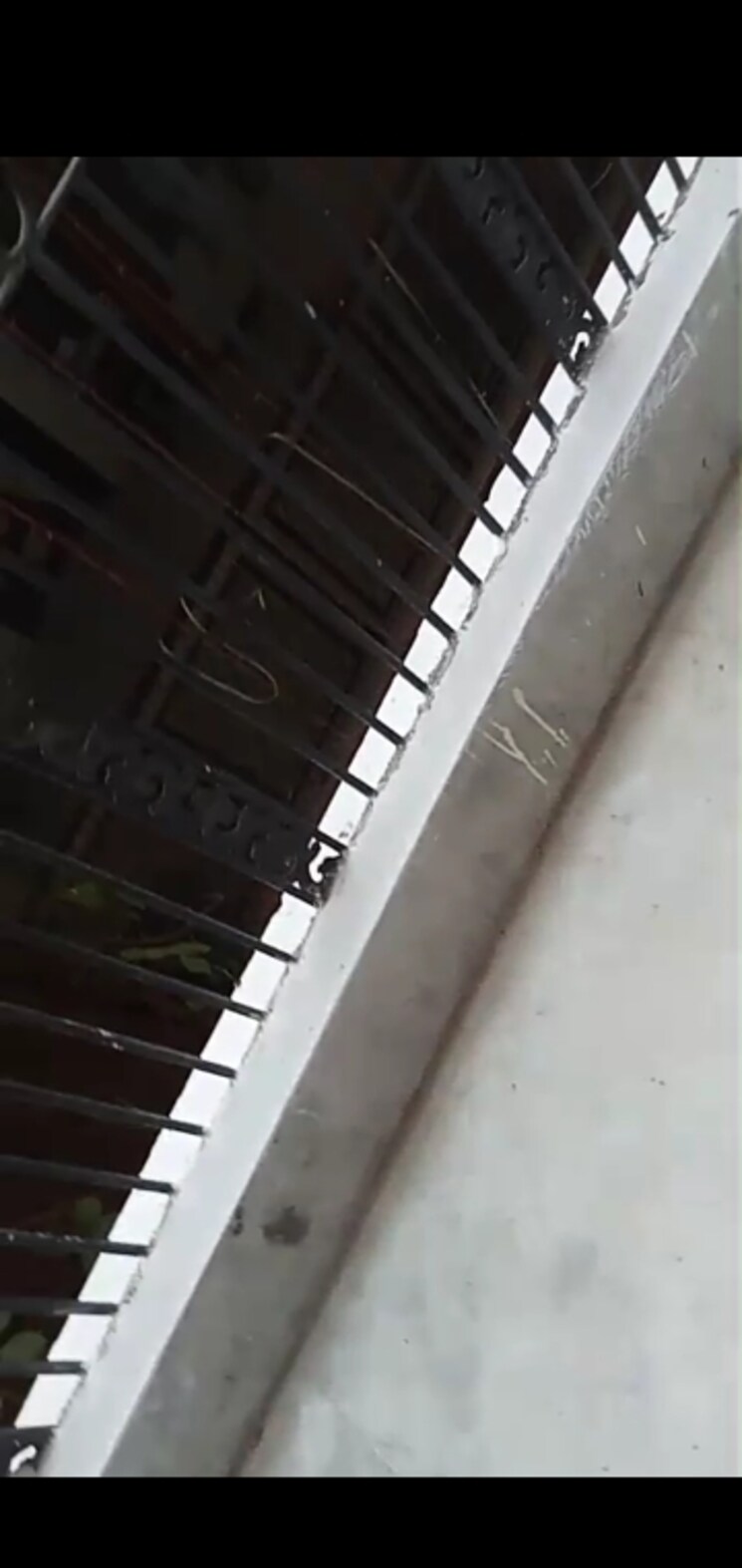 Balcony, mahavir enclave 2 Bedroom 630 Sq.Ft. Builder Floor In Mahavir Enclave Delhi 9526690