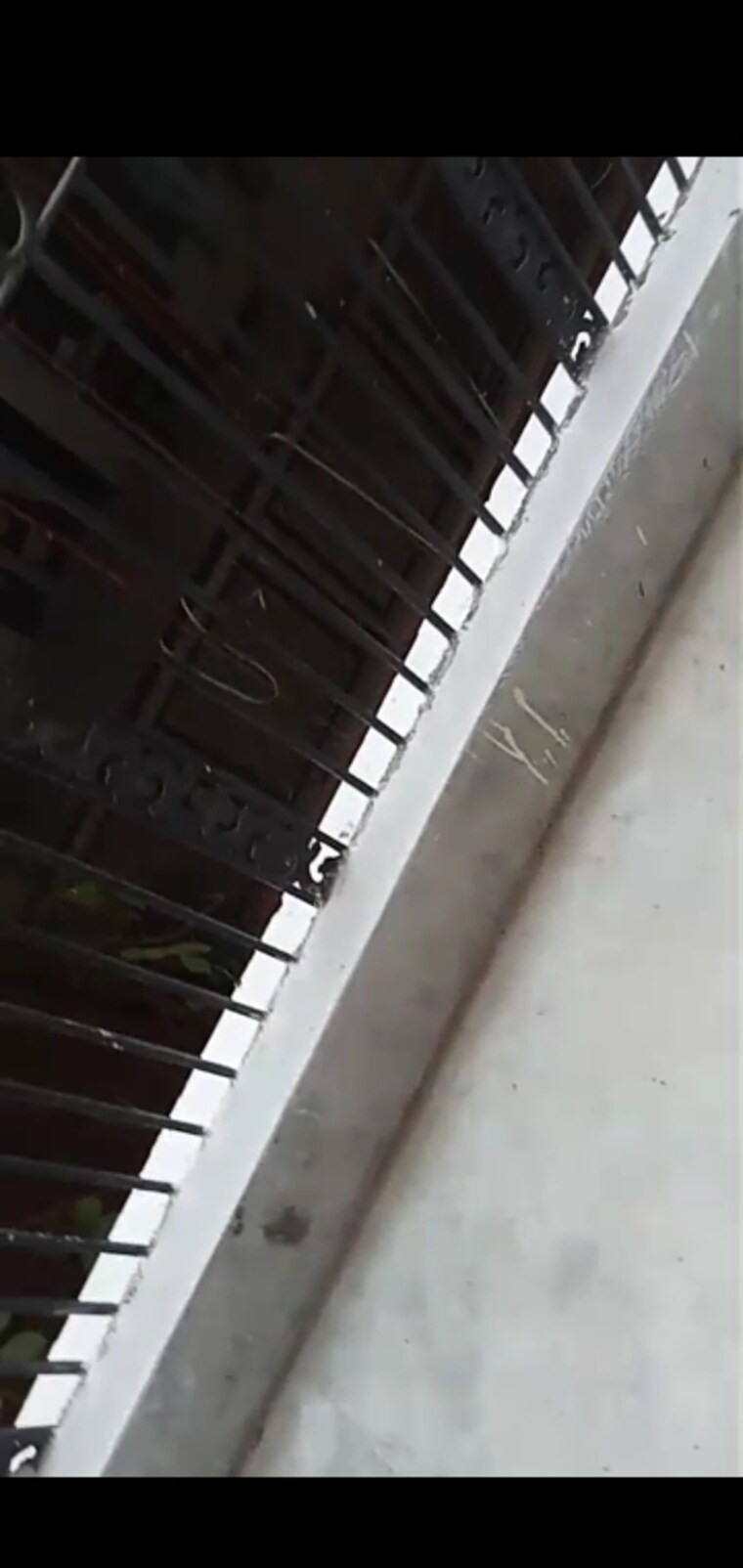 Balcony, mahavir enclave 2 Bedroom 630 Sq.Ft. Builder Floor In Mahavir Enclave Delhi 9526690