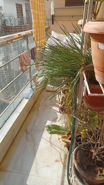 Balcony in 3 BHK Builder Floor at Saket – for Rent