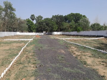  Plot For Sale in Danapur