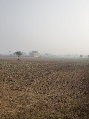 Plot Area in  Plot at Garden 28, Pataudi – for Sale