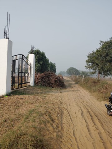  Plot – Exterior View View at Garden 28, Pataudi - for Sale