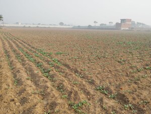 Plot Area in  Plot at Garden 28, Pataudi – for Sale