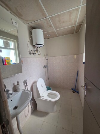 3 BHK + Servant Room 270 Sq.Yd. Apartment in DLF The Grove