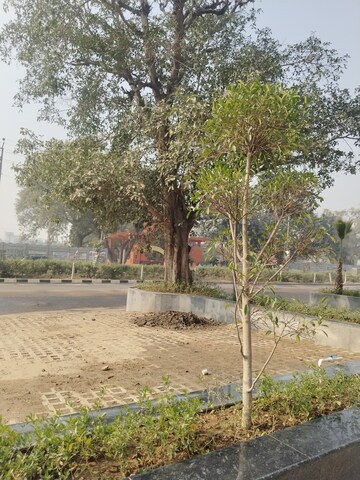 Plot Area in  Shop at SKA Arcadia, Wave City – for Sale