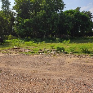 Plot Area in  Plot at Sector 67a – for Sale