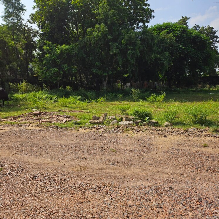 undefined, sector 67a  100 Sq.Yd. Plot In Sector 67a Gurgaon 9527855