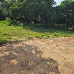 50 Sq.Yd. Plot in Bhati Properly