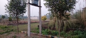 Plot Area in  Plot at Mohanlalganj – for Sale