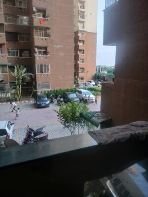 Swimming Pool in 3.5 BHK Apartment at Nimbus The Hyde park, Sector 78 – for Sale