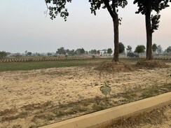 Plot For Sale in Garden Ganj 