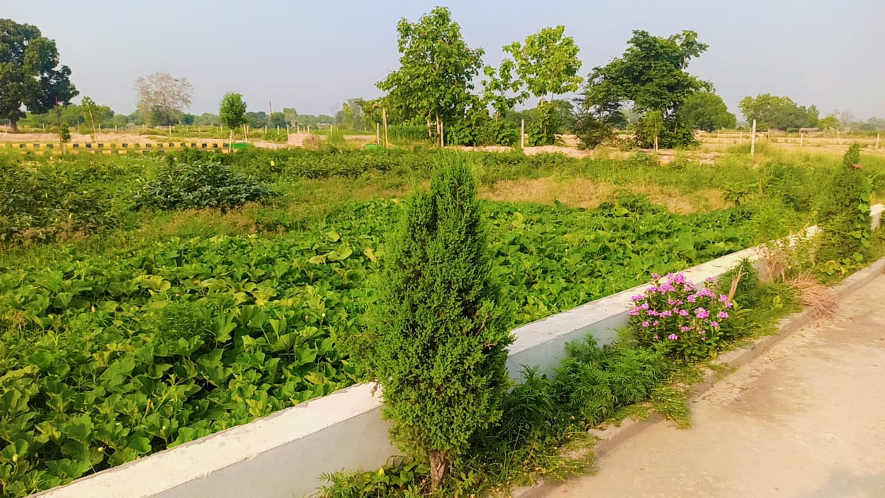 Plot For Sale in Garden Ganj 