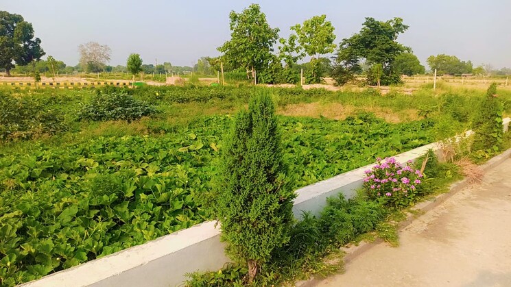 Garden, sultanpur road  1300 Sq.Ft. Plot In Sultanpur Road Lucknow 9529433